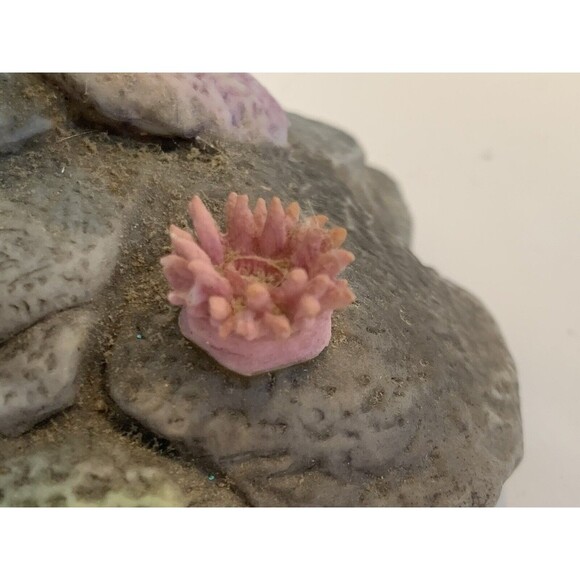 Vintage 1994 Wonders of the Green Sea Turtle Studio Design Porcelain Figurine - Picture 10 of 12